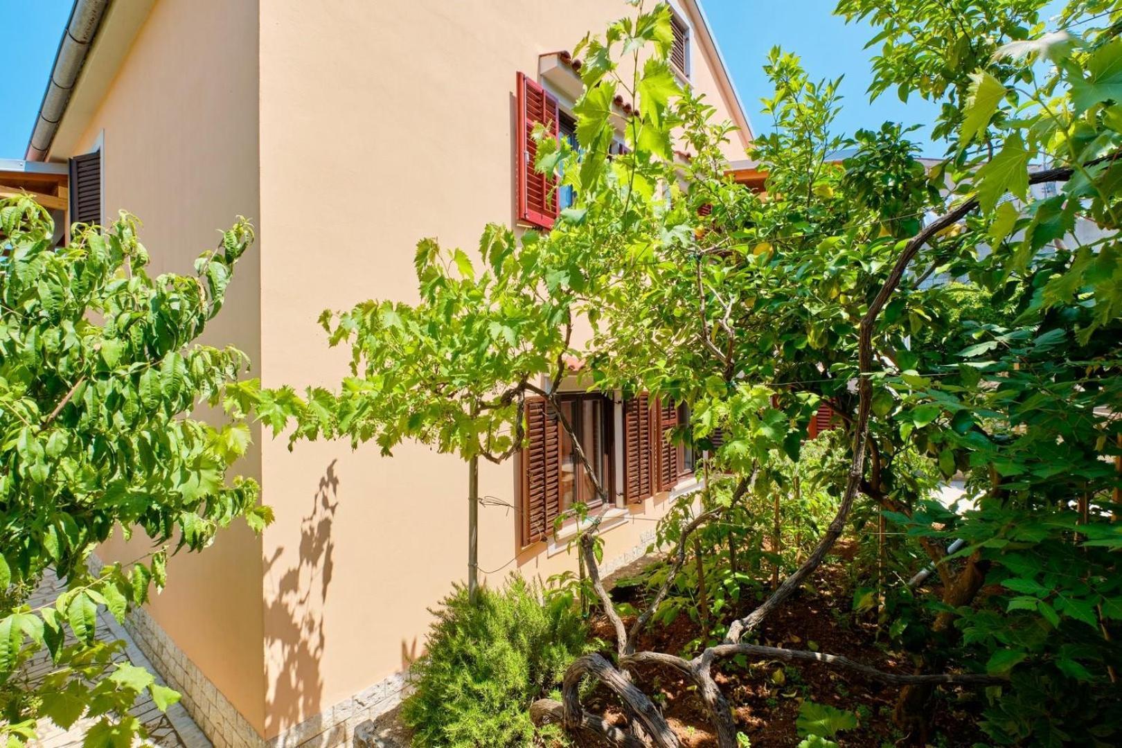 Apartments Ady Mali Lošinj Zewnętrze zdjęcie